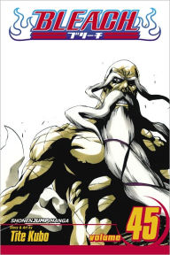 Title: Bleach, Vol. 45: The Burnout Inferno, Author: Tite Kubo
