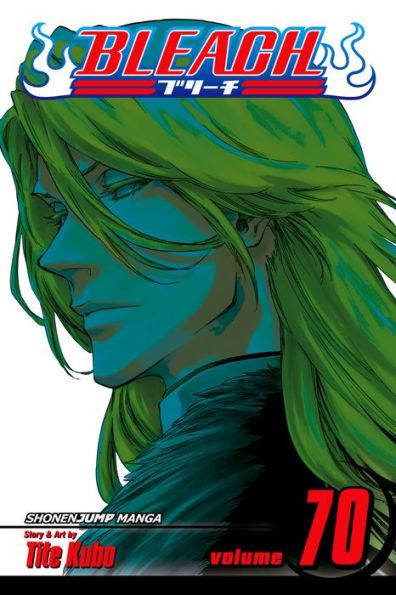 Bleach, Vol. 70: Friend