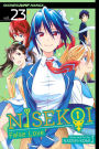 Nisekoi: False Love, Vol. 23: One Day