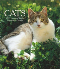 2008 Cats Hardcover Weekly Engagement Calendar