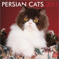 2011 Persian Cats Square Wall Calendar