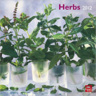 2012 Herbs Square 12X12 Wall Calendar