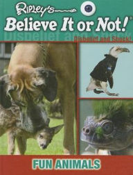 Fun Animals