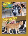 Dogs and Cats: Saving Our Precious Pets
