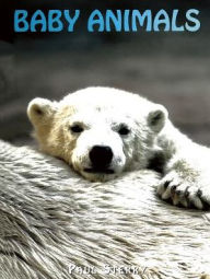 Title: Baby Animals, Author: Paul Sterry