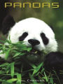Pandas