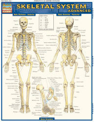 Title: Skeletal System: Advanced, Author: Vincent Perez
