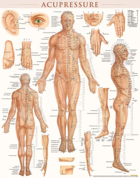Acupressure Poster (22 x 28 inches) - Laminated: Anatomy of Points for Acupressure & Acupunture