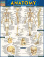 Anatomy - Reference Guide (8.5 x 11): a QuickStudy reference tool