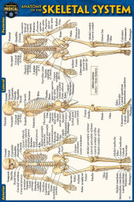 Title: Anatomy of the Skeletal System (Pocket-Sized Edition - 4x6 inches), Author: Vincent Perez