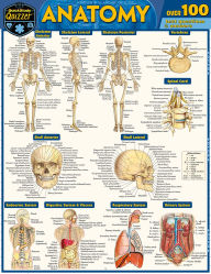 Title: Anatomy Quizzer: a QuickStudy Laminated Reference Guide, Author: Vincent Perez
