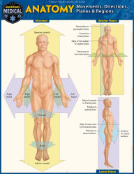 Title: Anatomy - Directions, Planes, Movements & Regions: a QuickStudy Laminated Reference Guide, Author: Vincent Perez