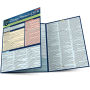 Chicago Manual of Style Guidelines - 18th edition: a QuickStudy Laminated Reference Guide