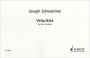Velocities: for Solo Marimba