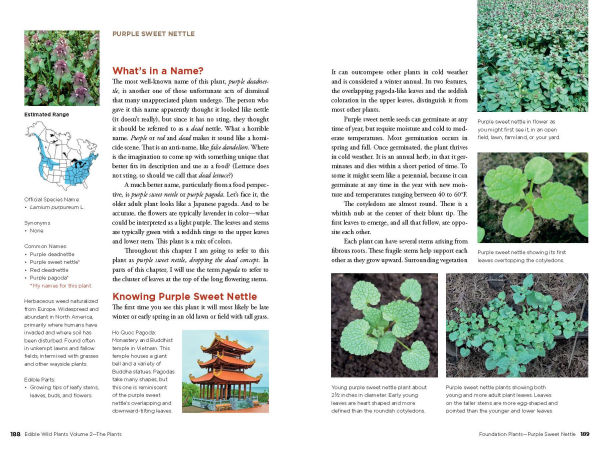 Edible Wild Plants, Volume 2: Wild Foods from Foraging to Feasting