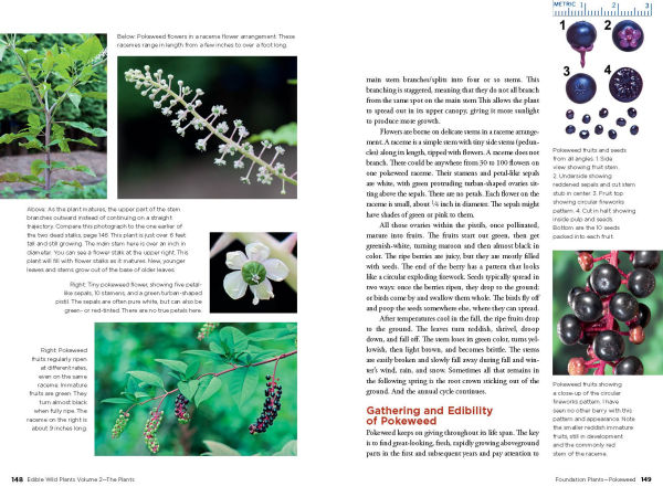 Edible Wild Plants, Volume 2: Wild Foods from Foraging to Feasting