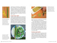 Alternative view 8 of Edible Wild Plants, Volume 2: Wild Foods from Foraging to Feasting