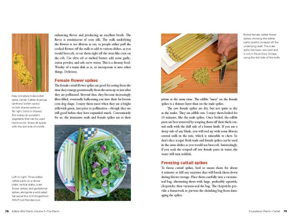 Edible Wild Plants, Volume 2: Wild Foods from Foraging to Feasting