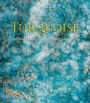 Turquoise: The World Story of a Fascinating Gemstone (Updated Edition)