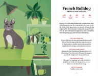Alternative view 4 of Puppy Love: An Illustrated Guide to Picking Your Perfect Canine Companion