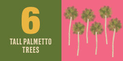 Alternative view 4 of Count On South Carolina: Baby's First Book About the Palmetto State