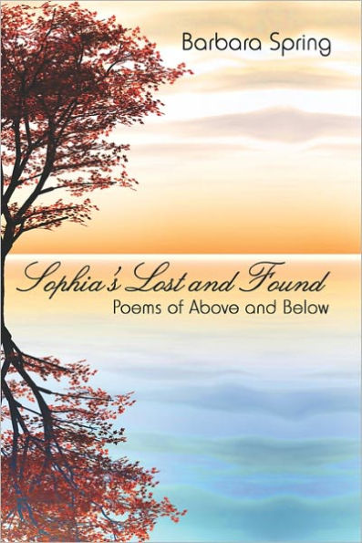 Sophia's Lost And Found