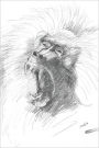 Mystories Of The Savannah