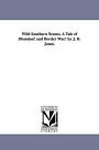 Wild Southern Scenes a Tale of Disunion! and Border War! by J B Jones