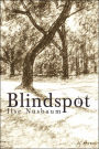Blindspot