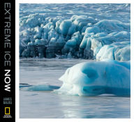 Extreme Ice Now: Vanishing Glaciers and Changing Climate - A Progress Report