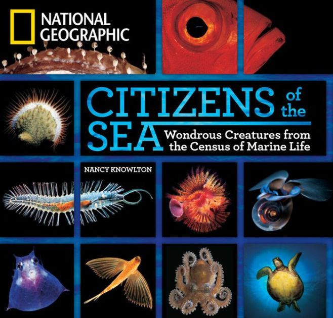 Undersea Animals A Dramatic Dimensional Visit to Strange Underwater Realms