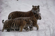Alternative view 14 of National Geographic Image Collection