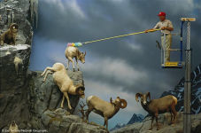 Alternative view 15 of National Geographic Image Collection