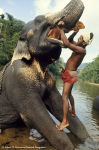 Alternative view 16 of National Geographic Image Collection