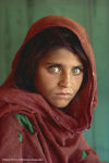Alternative view 6 of National Geographic Image Collection