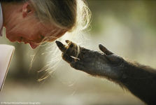 Alternative view 7 of National Geographic Image Collection