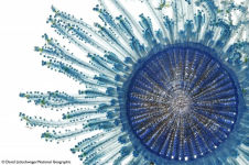 Alternative view 9 of National Geographic Image Collection