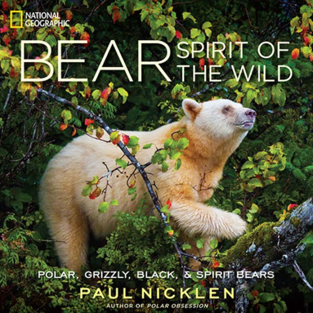 Bear Spirit of the Wild by Paul Nicklen, Hardcover Barnes & Noble®