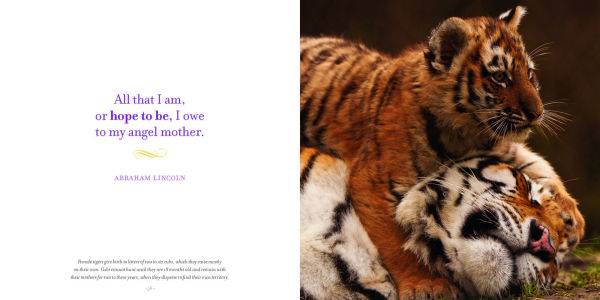 Amazing Moms: Love and Lessons From the Animal Kingdom