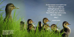 Alternative view 6 of Amazing Moms: Love and Lessons From the Animal Kingdom