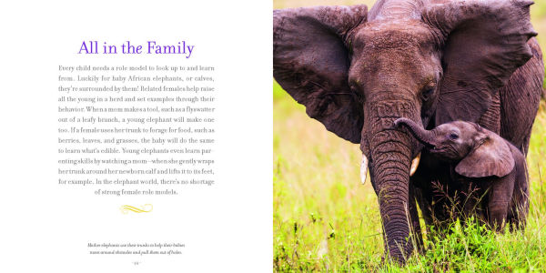 Amazing Moms: Love and Lessons From the Animal Kingdom
