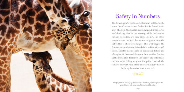 Amazing Moms: Love and Lessons From the Animal Kingdom
