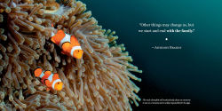 Alternative view 2 of Amazing Dads: Love and Lessons From the Animal Kingdom