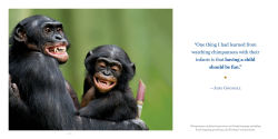 Alternative view 6 of Amazing Dads: Love and Lessons From the Animal Kingdom