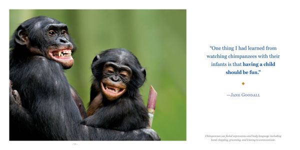 Amazing Dads: Love and Lessons From the Animal Kingdom