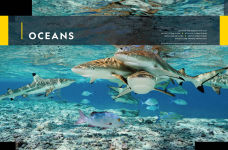 Alternative view 33 of National Geographic Family Reference Atlas 5th Edition
