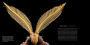 Alternative view 5 of National Geographic Photo Ark Insects: Butterflies, Bees, and Kindred Creatures