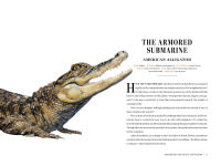 Alternative view 3 of Grizzled: Love Letters to 50 of North America's Least Understood Animals