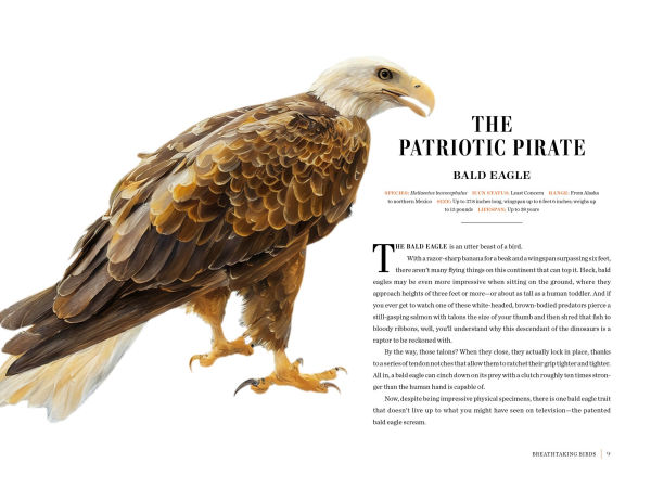 Grizzled: Love Letters to 50 of North America's Least Understood Animals