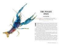 Alternative view 5 of Grizzled: Love Letters to 50 of North America's Least Understood Animals